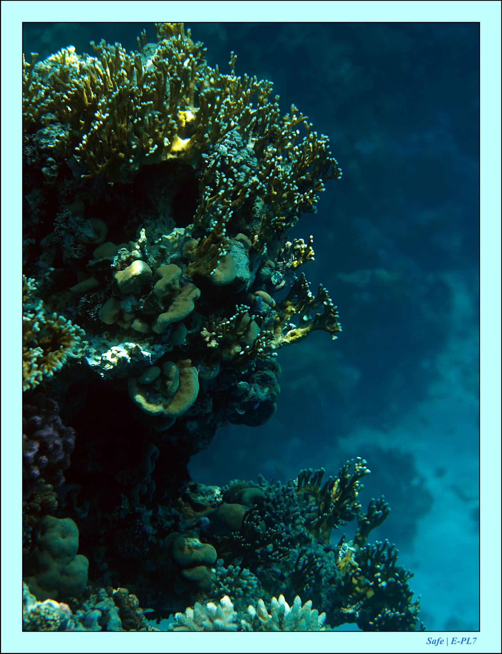 Hurghada - Aout 2021 - 038